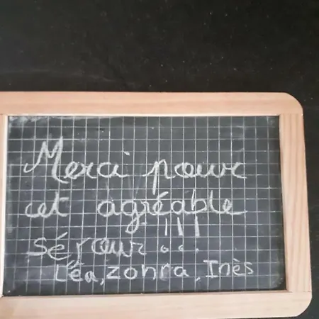 Le Purpan Apartment Toulouse